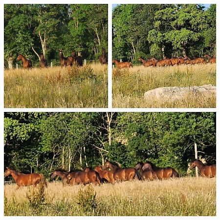 Les Naturelles Villa Saint-Aubin-de-Locquenay Kültér fotó